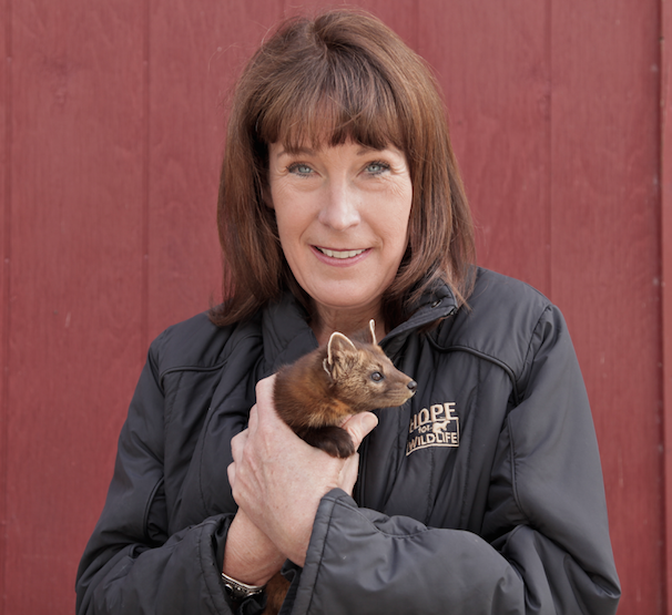 Hope For Wildlife